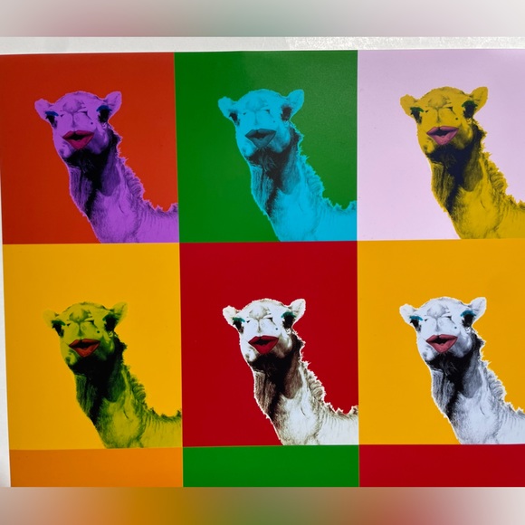 Colourful Camel 🐪 Print - Picture 9 of 9